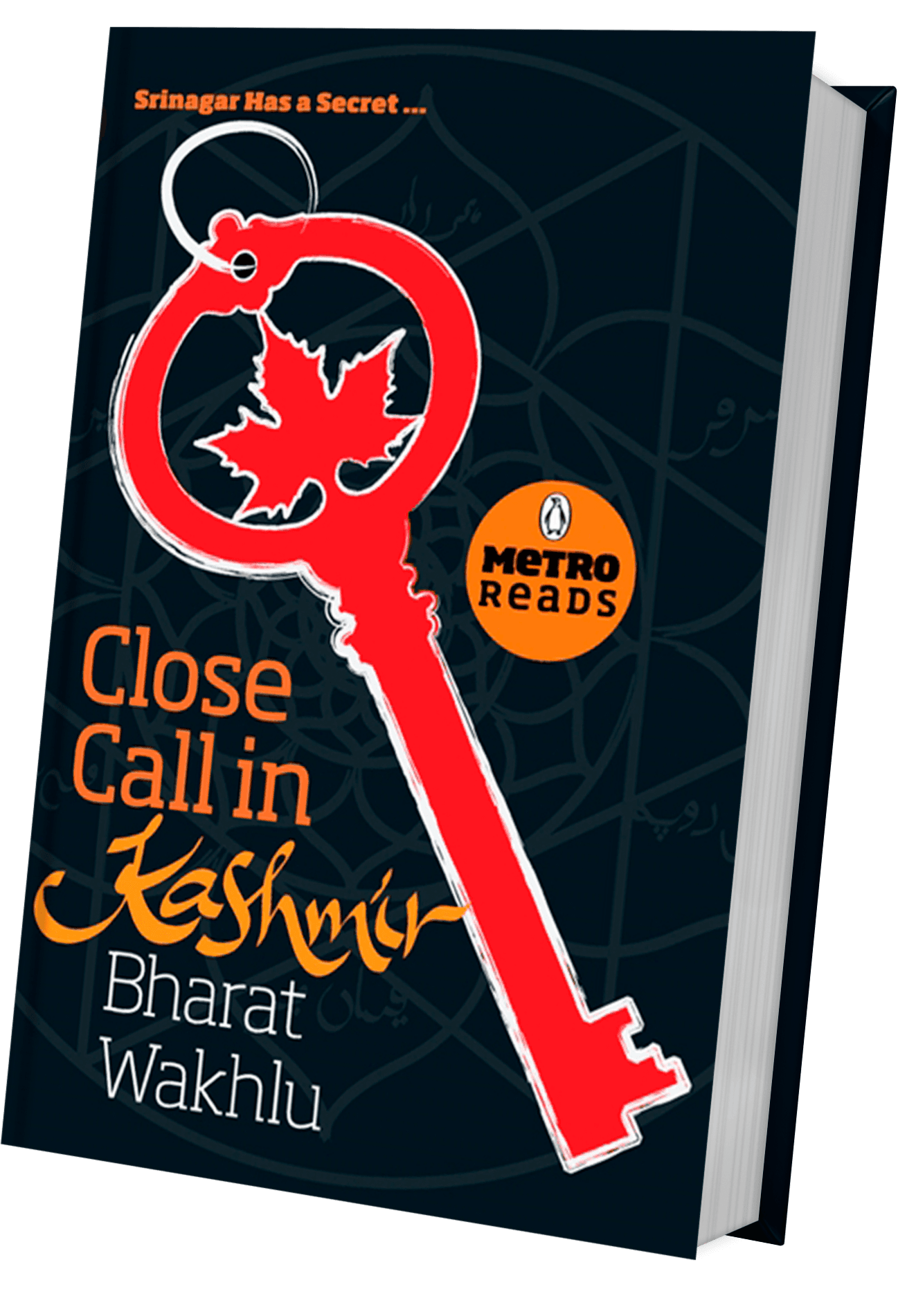 Close Call in Kashmir